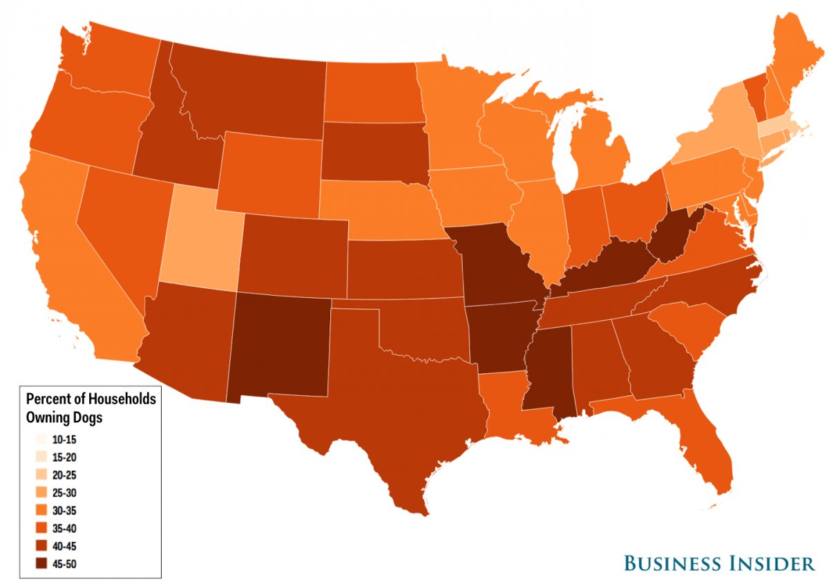 Dogging map. Election Threshold. Карта до дог Кэт. World Home ownership Map. United Cat States.